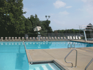 Nottingham-Forest-South-neighborhood pool 