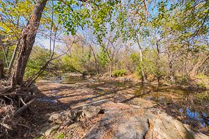 Scenery and Landscaping at Forest Park Estates