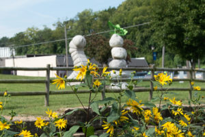 Sculpture in Merriam KS