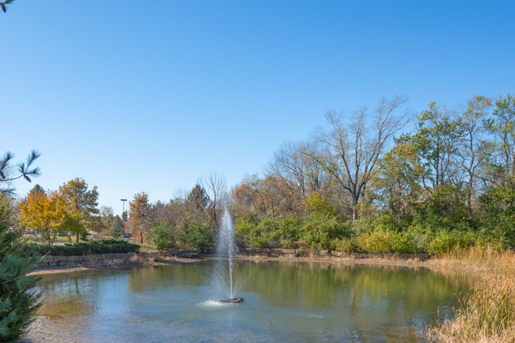 Water feature at the entry to The Enclave at Cedar Pointe