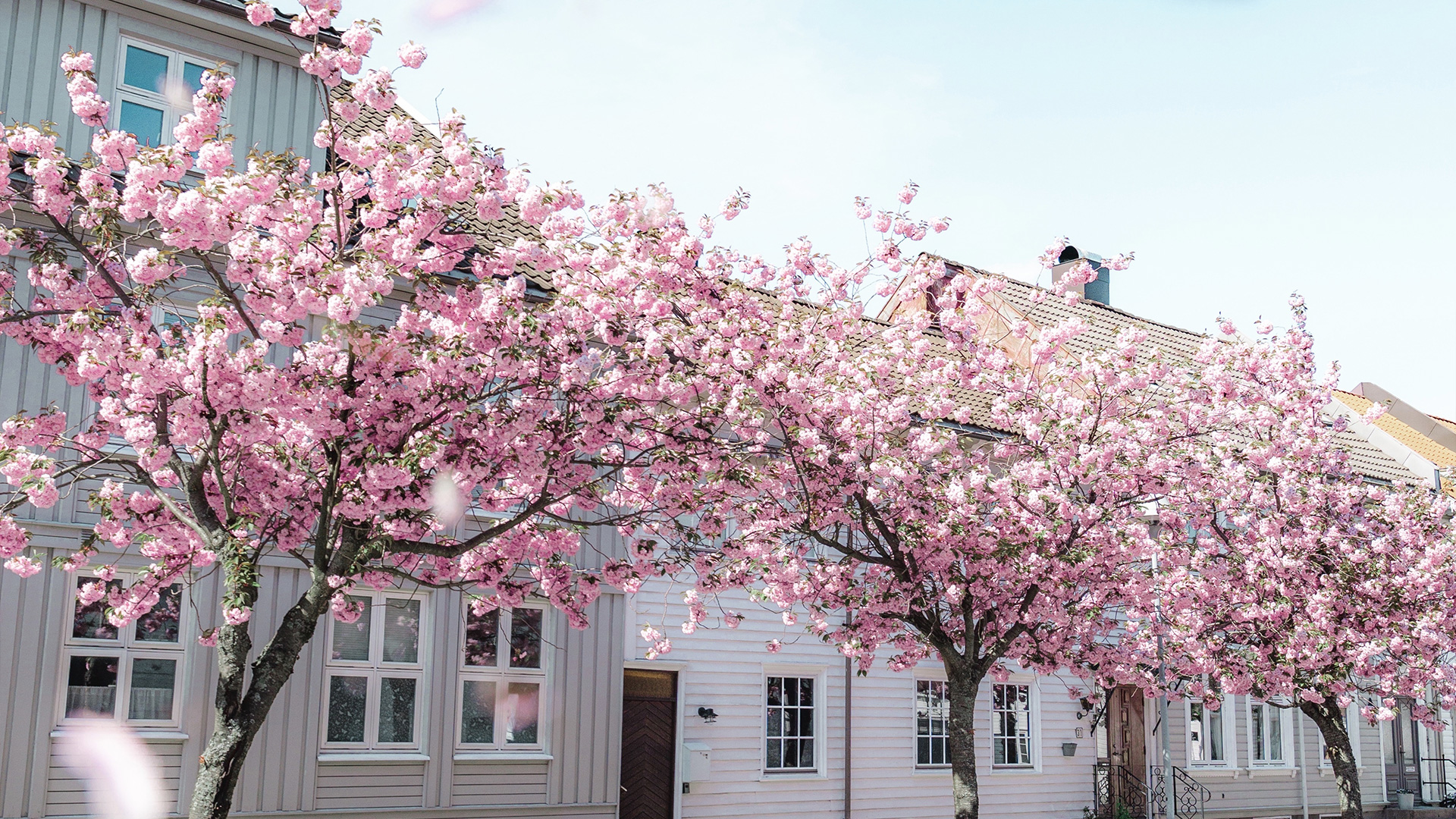 Don’t miss these neighborhoods on the Last weekend of the Spring 2026 Parade of Homes